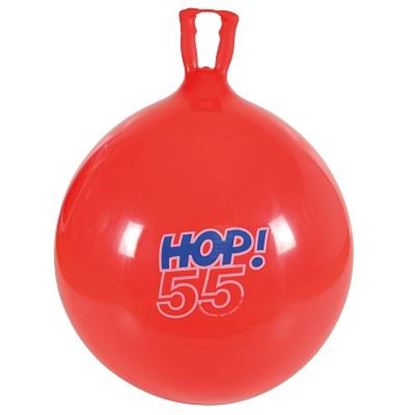 Image de 991086616 Ballon sauteur Hop Gymnic