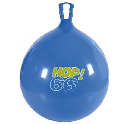 Image de 991086629 Ballon sauteur Hop Gymnic