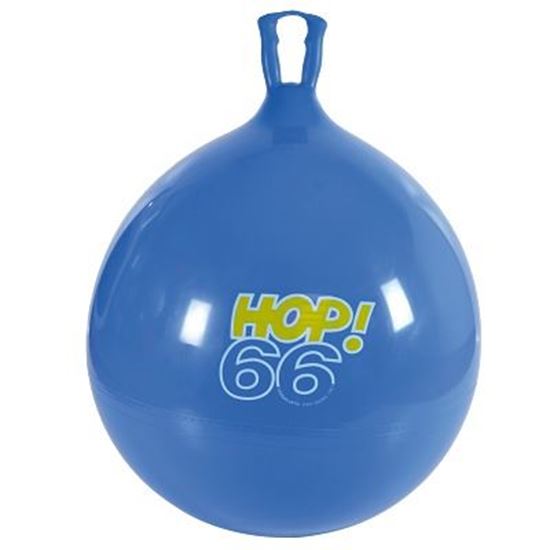 Image sur 991086629 Ballon sauteur Hop Gymnic