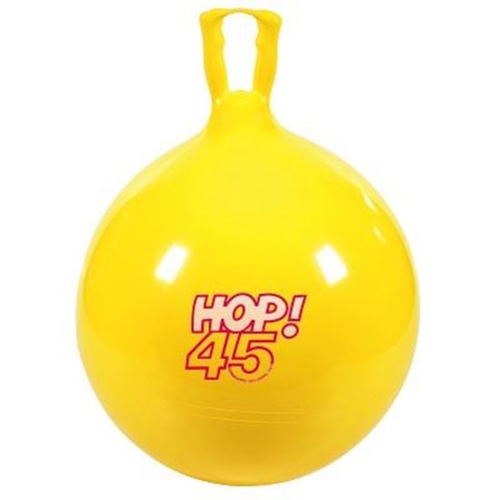 Image sur 991086603 Ballon sauteur Hop Gymnic
