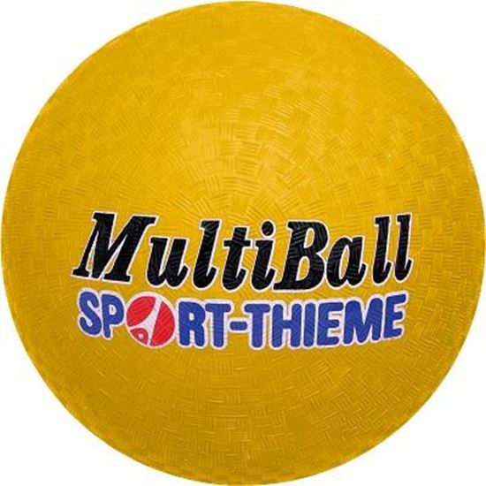 Image sur 991092309 Ballon Sport-Thieme Multi-Ball