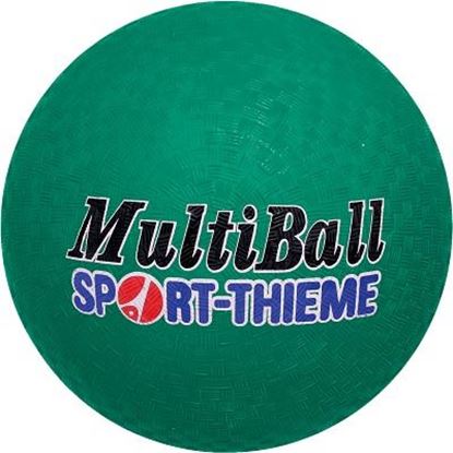 Image de 991092312 Ballon Sport-Thieme Multi-Ball