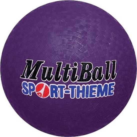 Image sur 991092325 Ballon Sport-Thieme Multi-Ball