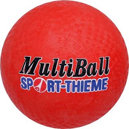 Image de 991092338 Ballon Sport-Thieme Multi-Ball