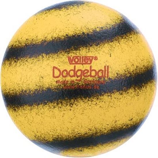 Image sur 991072916 Ballon Volley Dodgeball