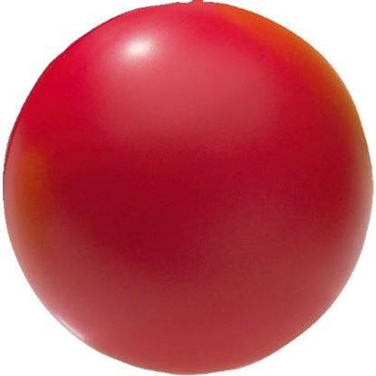 Image de 991071522 Ballons en mousse PU Sport-Thieme