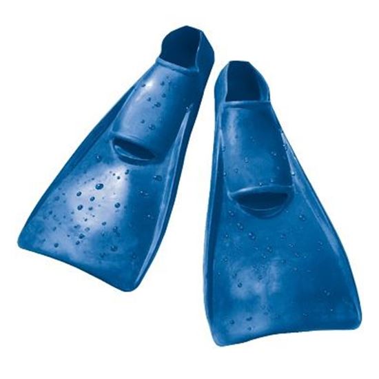 Image sur 992042318 Palmes pied de canard