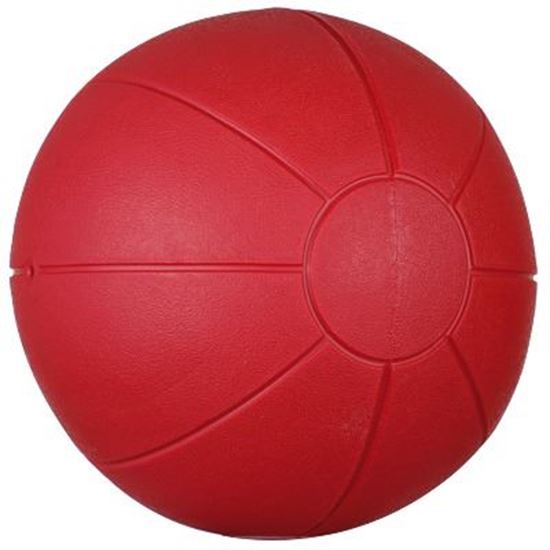 Image sur 991096617 Medecine ball Togu en Ruton