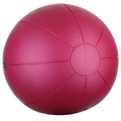 Image de 991096662 Medecine ball Togu en Ruton