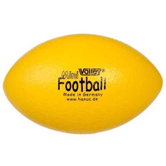 Image sur 991072714 Mini ballon de football américain Volley Elef'