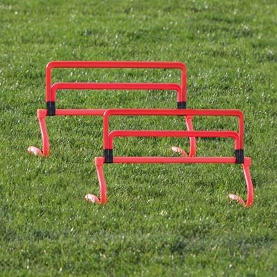 Image sur 992270614 Mini haies d'entraînement