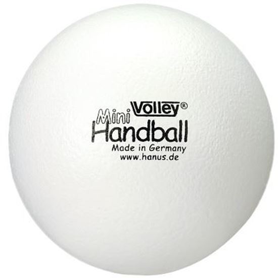 Image sur 991082409 Miniballon de handball Volley