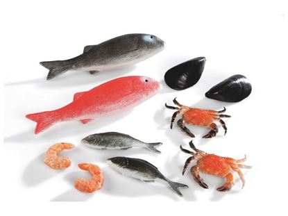 Image de 42407171 LOT DE 10 POISSONS DIVERS    