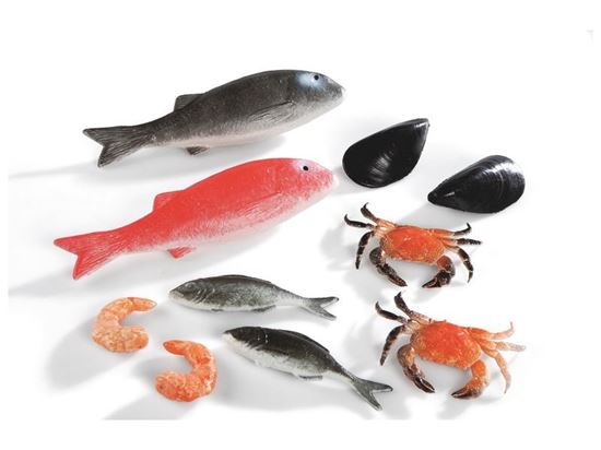 Image sur 42407171 LOT DE 10 POISSONS DIVERS    