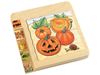 Image sur 35610020 PUZZLES CYCLES DE VIE Les fruits et légumes La citrouille MULTICOLOR