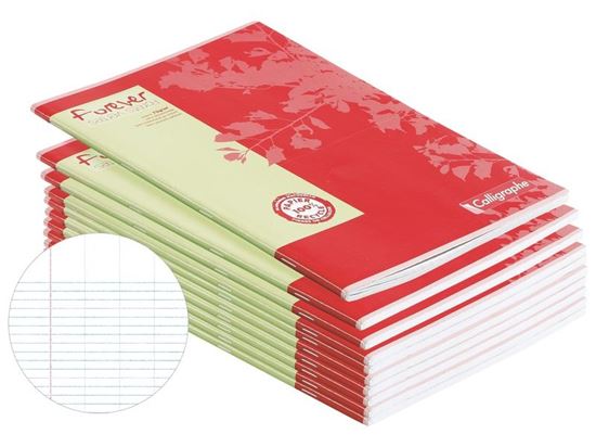 Image sur 34062020 CAHIERS QUADRILLÉS A4 96 pages 90 g MULTICOLOR