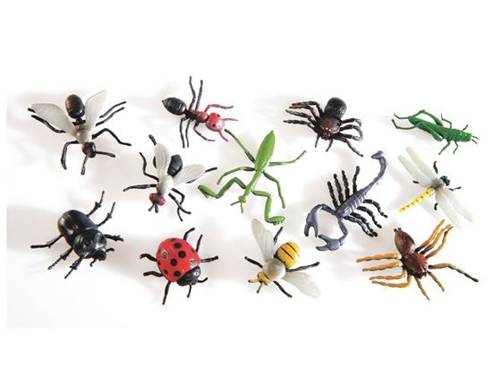 Image sur 22576020 MINI FIGURINES Les insectes MULTICOLOR
