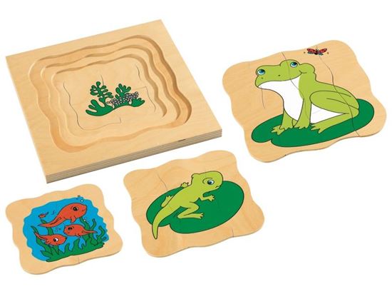 Image sur 1633020 PUZZLE CYCLES DE VIE  La grenouille MULTICOLOR