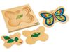 Image sur 1635020 PUZZLE CYCLES DE VIE  Le papillon MULTICOLOR