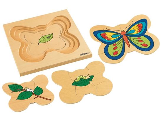 Image sur 1635020 PUZZLE CYCLES DE VIE  Le papillon MULTICOLOR