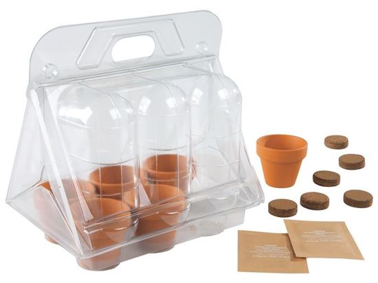 Image sur 41175171 MINI SERRE 6 POTS Tomates tomate cerise, tomate poire jaune DIVERS    