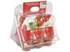 Image sur 41175171 MINI SERRE 6 POTS Tomates tomate cerise, tomate poire jaune DIVERS    