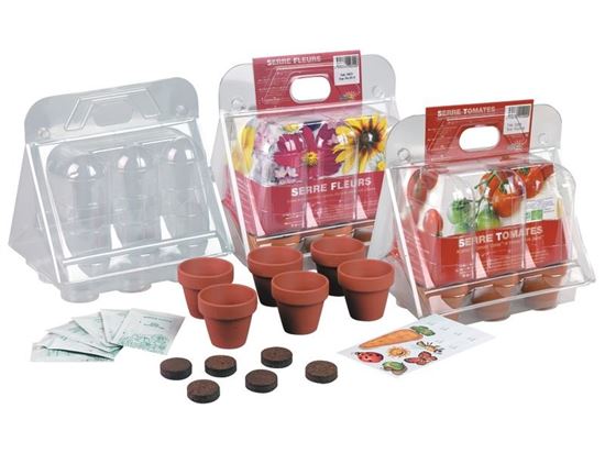 Image sur 41826171 MINI SERRE 6 POTS MAXI LOT DIVERS    