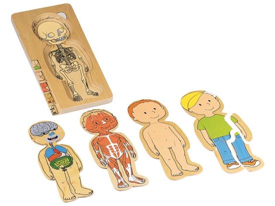 Image sur 19082020 PUZZLES Le corps humain Garçon MULTICOLOR