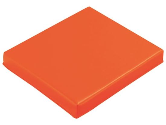 Image sur 38373007 COUSSIN SIMPLE ORANGE    