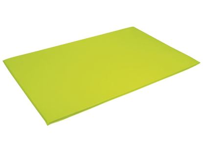 Image de 45433037 TAPIS UNI 200 x 130 cm VERT CLAIR