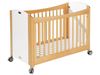 Image sur 49618001 LIT BAS PLIANT BLANC     