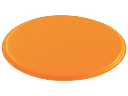 Image de 50136007 GALETTE ORANGE    