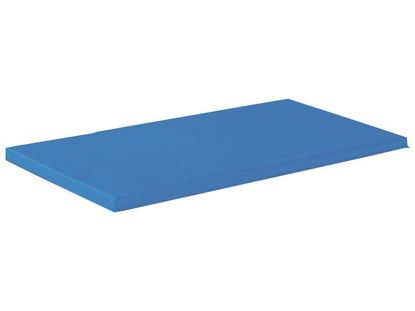 Image de 84002 COUSSIN DE CONFORT BLEU      