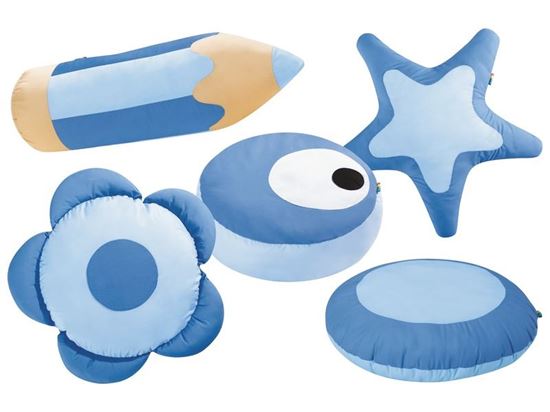 Image sur OF46620 5 COUSSINS
