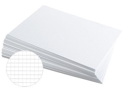 Image de 12117001 FICHES 21 x 29,7 cm  Quadrillage 5 x 5 BLANC     