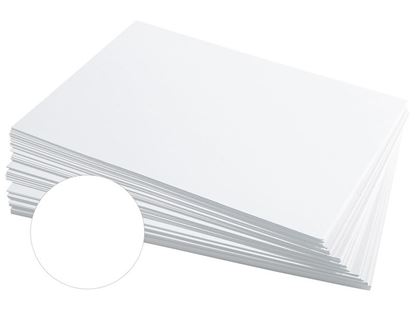 Image de 12115001 FICHES 21 x 29,7 cm  Unies BLANC     