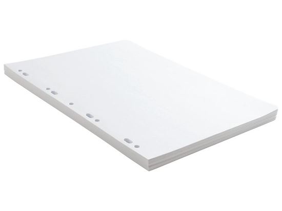 Image sur 12165001 FEUILLES SIMPLES PERFORÉES Unies 21 x 29,7 Seyès 120 g BLANC     