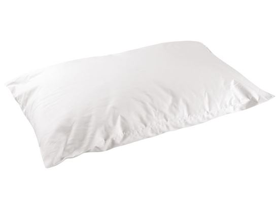 Image sur 11631001 OREILLER Santé BLANC