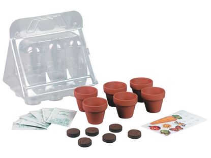 Image de 11959020 MINI SERRE 6 POTS Plantes aromatiques Aneth, thym, persil, ciboulette et cerfeuil