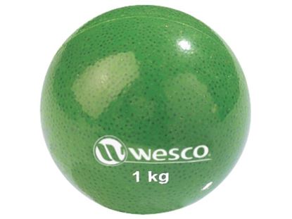 Image de 12263008 BALLES LESTÉES progressives 1 kg