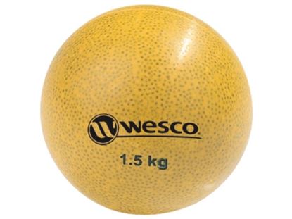 Image de 12264014 BALLES LESTÉES progressives 1,5 kg