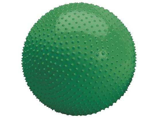 Image sur 1308008 BALLE SENSORIELLE en peau de mousse Ø 65 cm