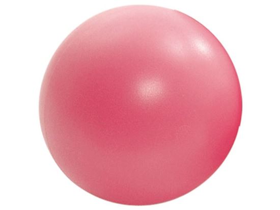 Image sur 1779003 BALLES DE SPORT en peau de mousse Ø 19 cm