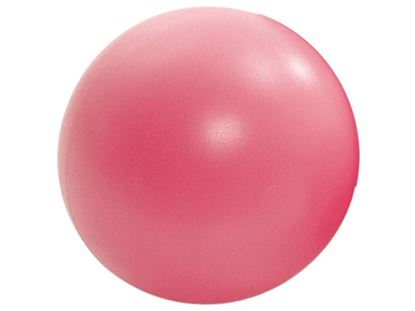 Image de 1780003 BALLES DE SPORT en peau de mousse Ø 25 cm