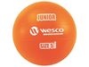 Image sur 24843007 BALLON DE VOLLEY Junior