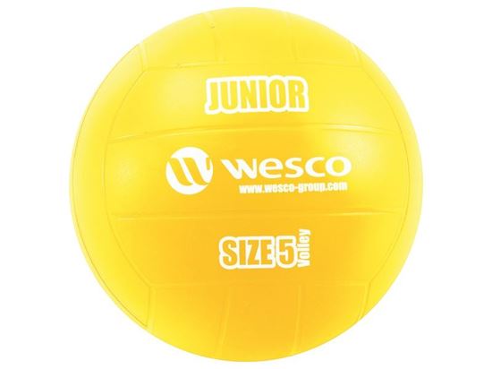 Image sur 24843011 BALLON DE VOLLEY Junior