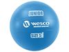 Image sur 24843014 BALLON DE VOLLEY Junior
