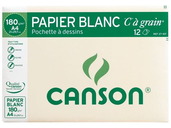 Image sur 25860001 POCHETTE DE FEUILLES DE PAPIER À GRAIN CANSON Pochette de 12 feuilles CANSON A4 cm 180 g