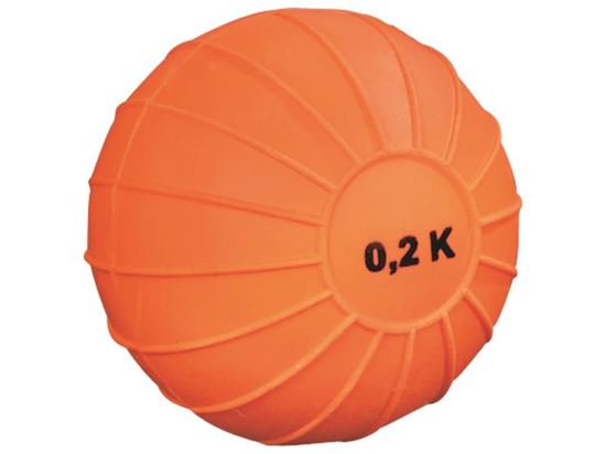 Image sur 26062007 BALLES LESTÉES à peau striée 0,2 kg