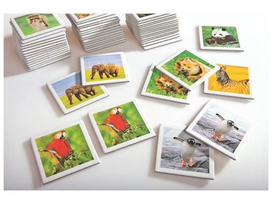 Image sur 22608020 MÉMO PHOTO Les animaux sauvages